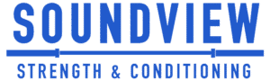 SoundView-Logo-Blue-300x102